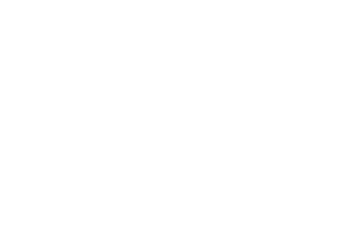 The Undersiders